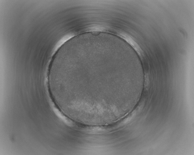 X0000115661042200911251705