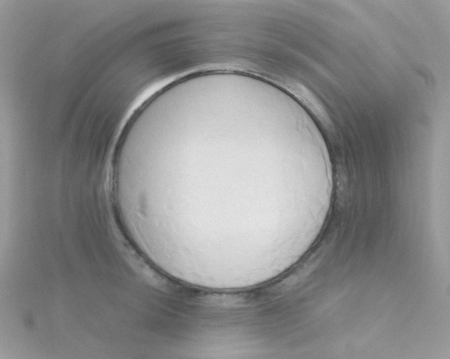 X0000115661044200911251705