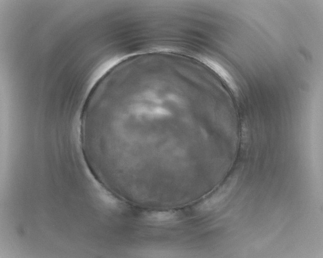 X0000115661047200911251705