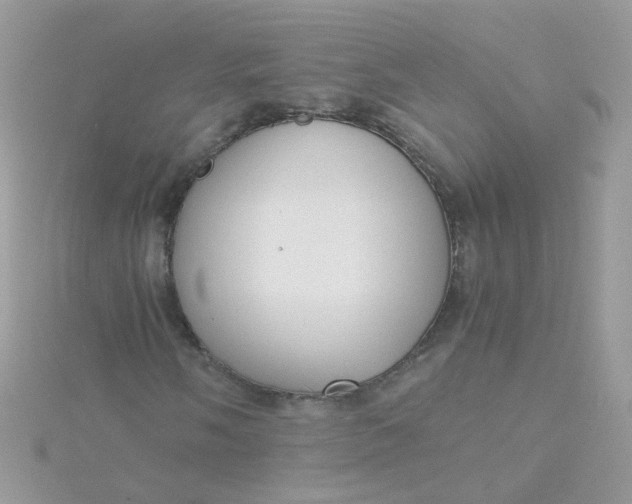 X0000115661058200911251705