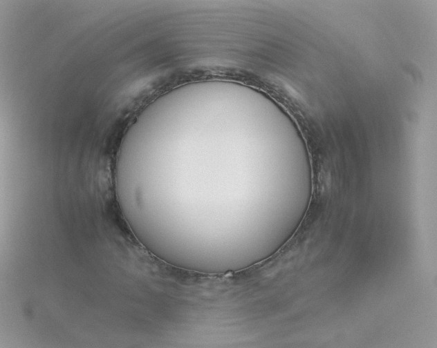 X0000115661062200911251705