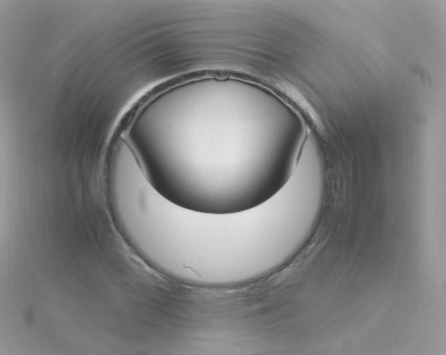 X0000115661068200911251705