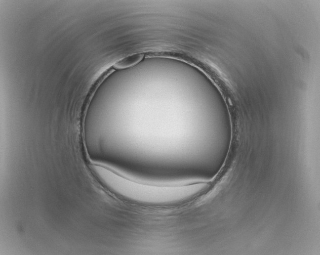 X0000115661073200911251705