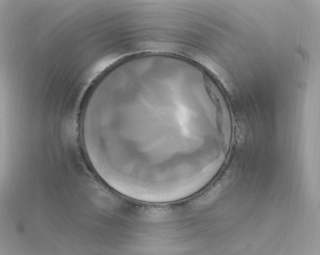 X0000115661074200911251705