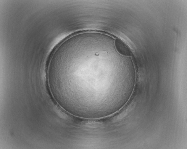 X0000115661077200911251705