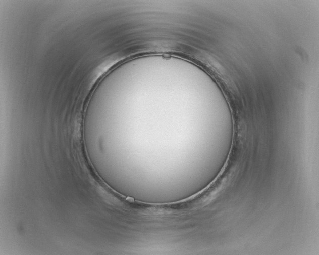X0000115661081200911251705
