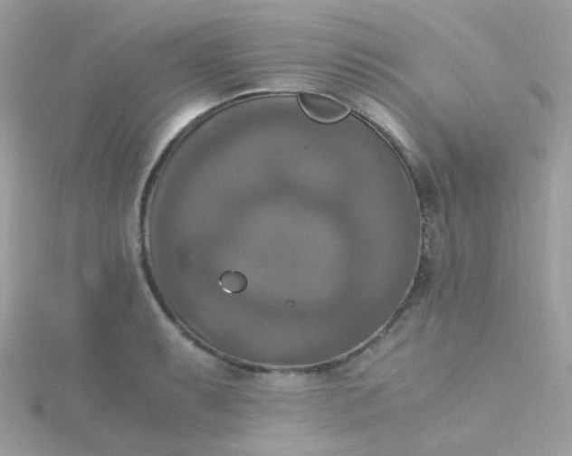X0000115661087200911251704