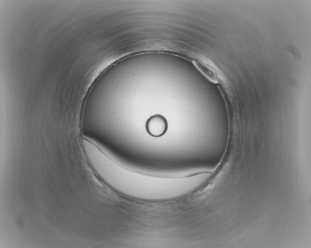 X0000115661089200911251704