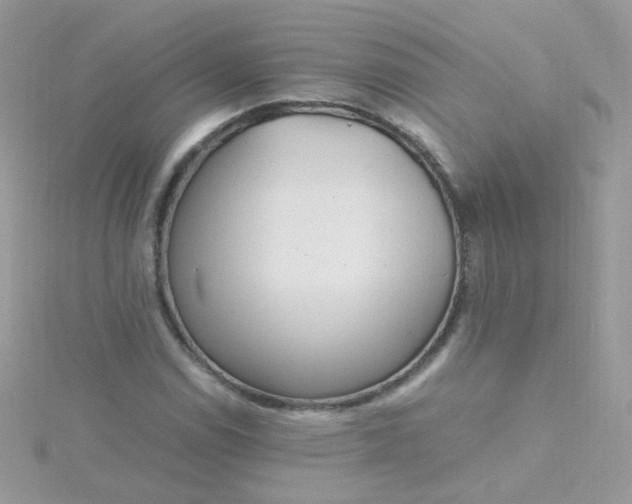 X0000115661114200911251704