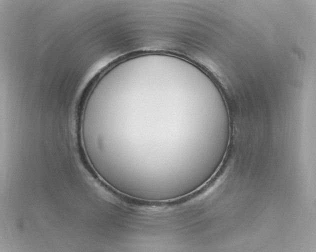 X0000115661122200911251704