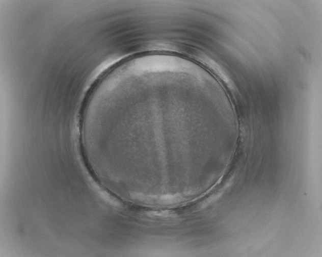 X0000115661133200911251704