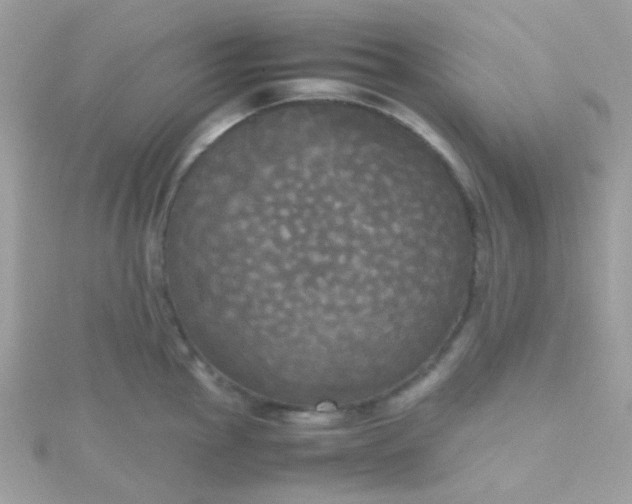 X0000115661145200911251704