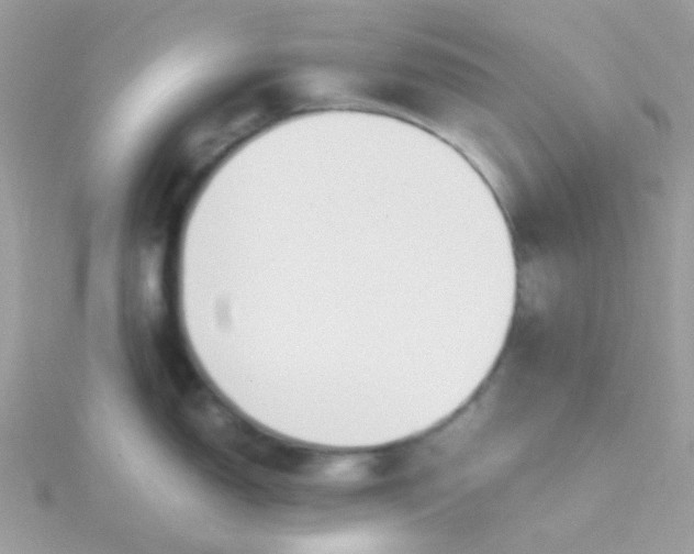 X0000115661150200911251704