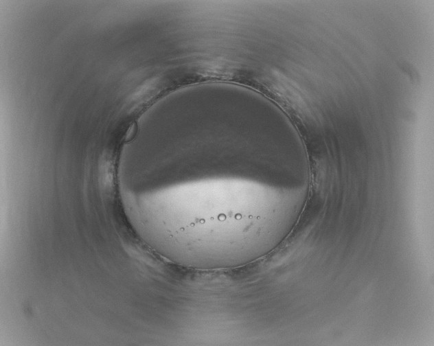 X0000115661154200911251704