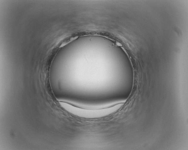 X0000115661157200911251704