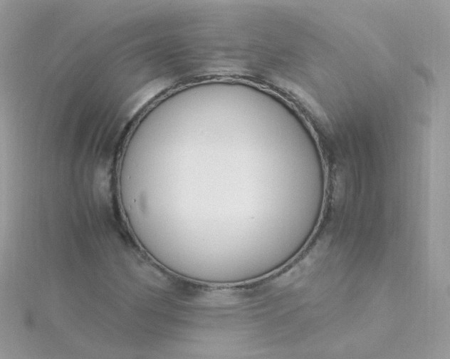 X0000115661162200911251703