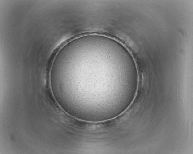 X0000115661165200911251703