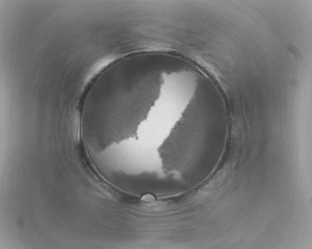 X0000115661171200911251703