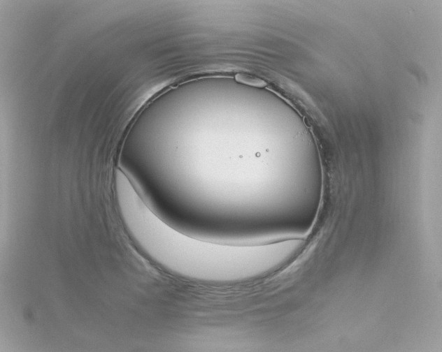 X0000115661177200911251703