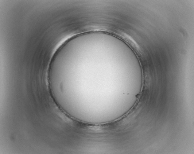 X0000115661182200911251703