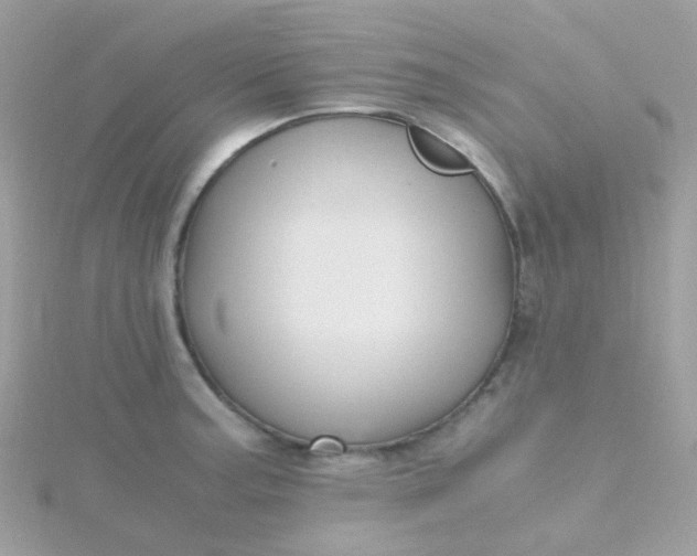 X0000115661187200911251703