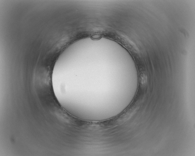 X0000115661204200911251702