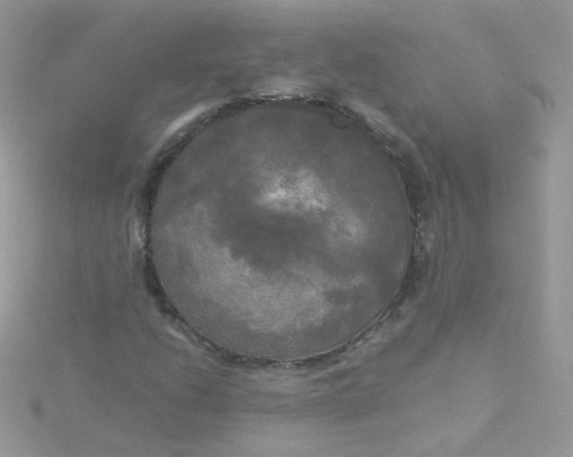 X0000115661206200911251702