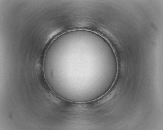 X0000115661210200911251702