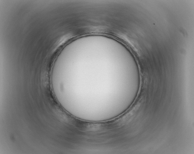 X0000115661211200911251702
