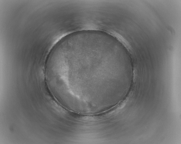 X0000115661212200911251702