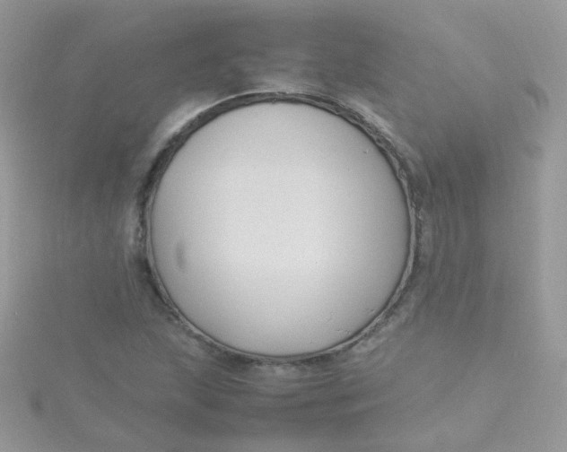 X0000115661215200911251702
