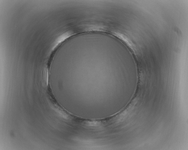 X0000115661219200911251702