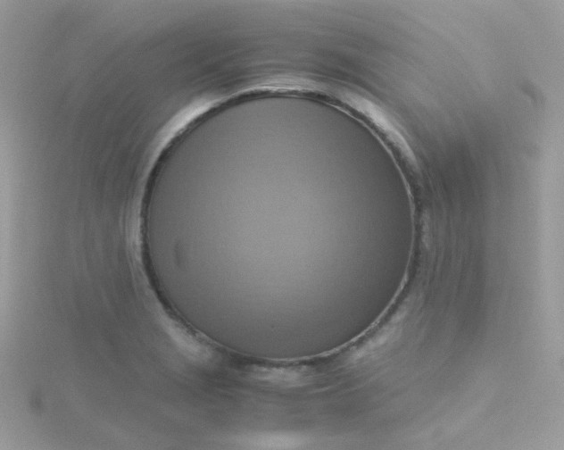 X0000115661229200911251703