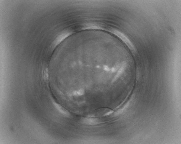 X0000115661241200911251703