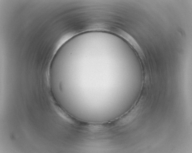 X0000115661242200911251703
