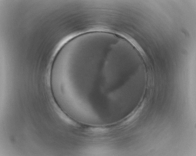 X0000115661246200911251703
