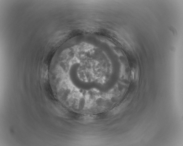 X0000115661251200911251702