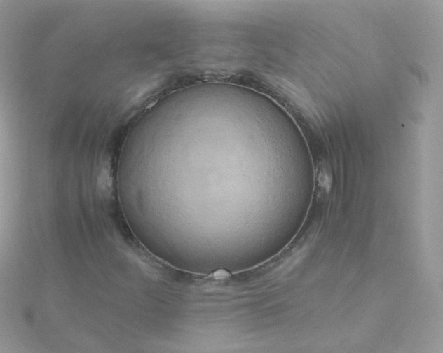 X0000115661252200911251702