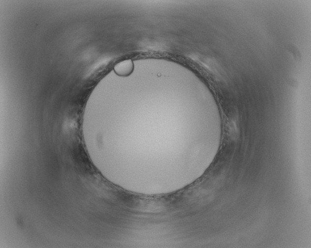 X0000115661254200911251702