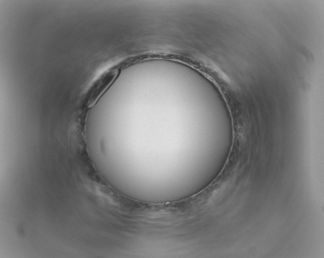 X0000115661256200911251702