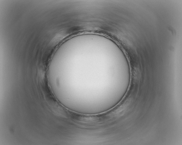 X0000115661257200911251702