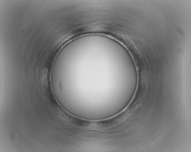 X0000115661265200911251702