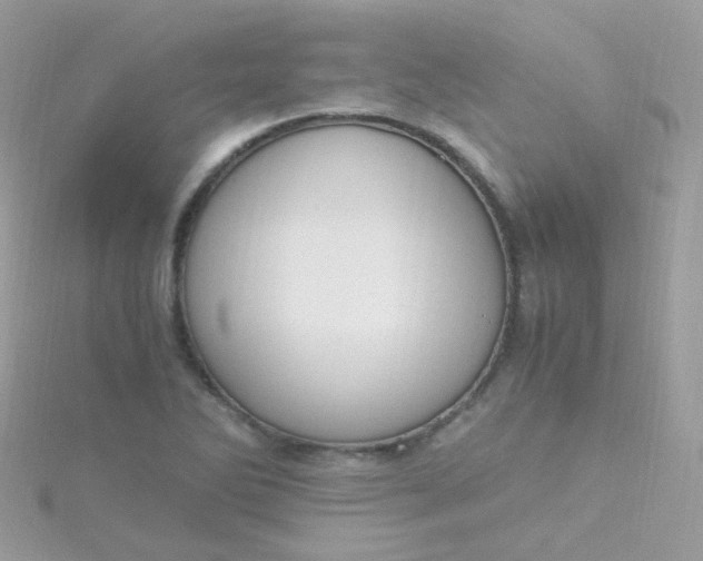 X0000115661270200911251702