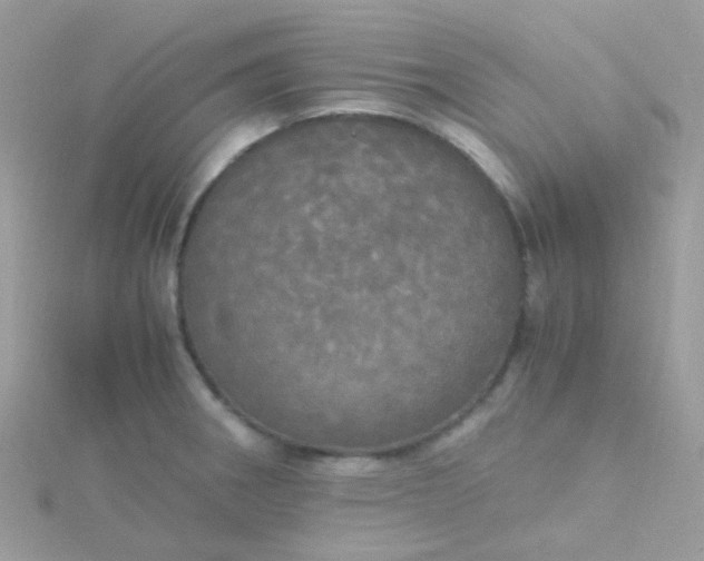 X0000115661282200911251702