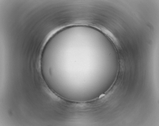 X0000115661288200911251702