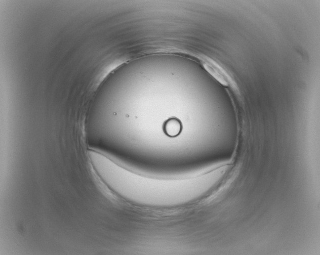 X0000115661289200911251702