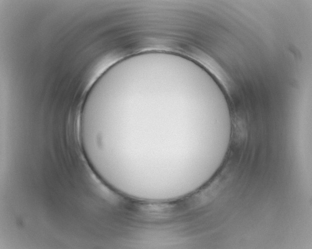 X0000115661290200911251702