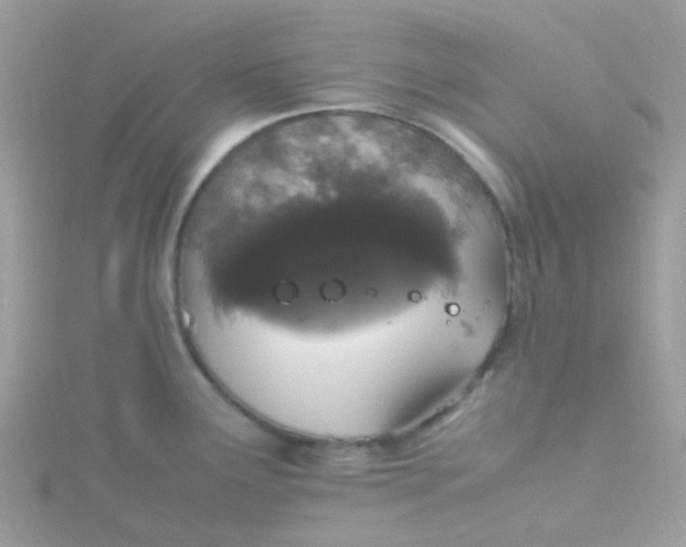X0000115661291200911251702