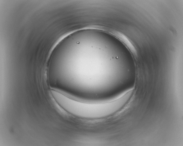 X0000115661292200911251702