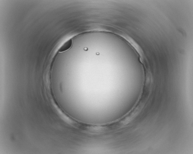 X0000115661293200911251702